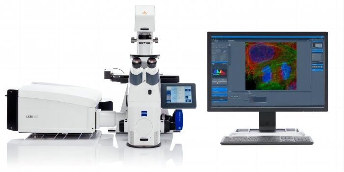 共聚焦显微镜LSM 900